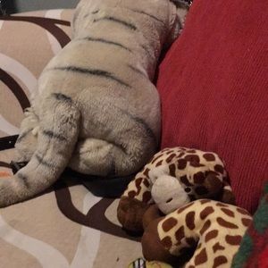 Meet your Posher, Evelyne